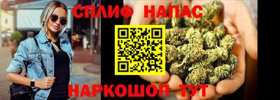 Альфа ПВП Новодвинск