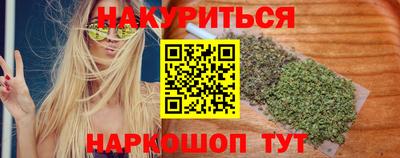 Альфа ПВП Новодвинск