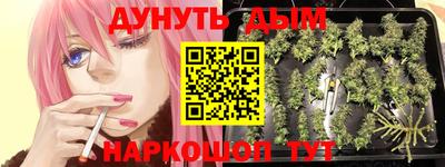 марихуана Новозыбков