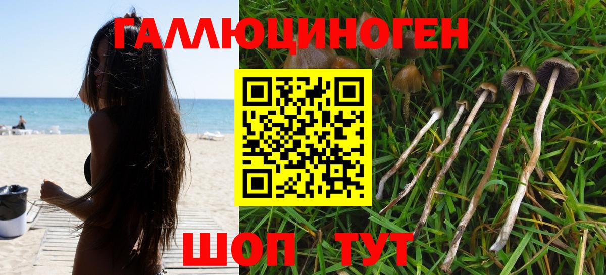 купить  цена  Галлюциногенные грибы прущие грибы  Галлюциногенные грибы MAGIC MUSHROOMS  Вход с VPN  Чернушка 
